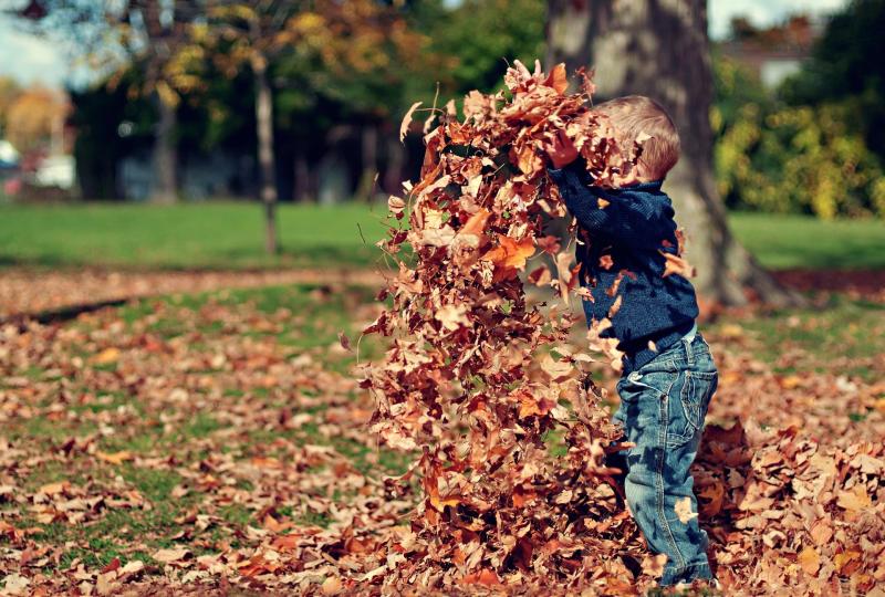 Child playing outdoors with autumn leaves