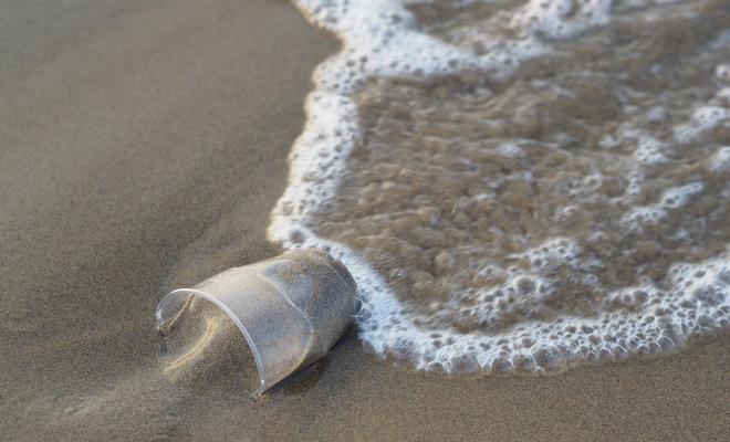 Plastic cup have buried in sand at sea edge
