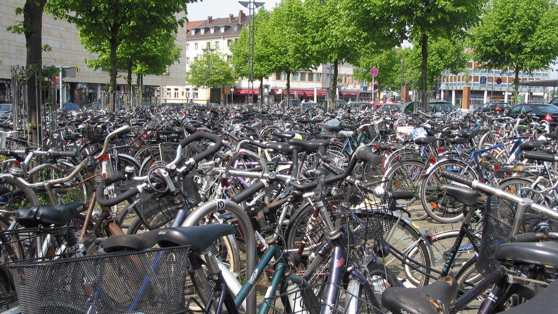 a large cycle park in a city