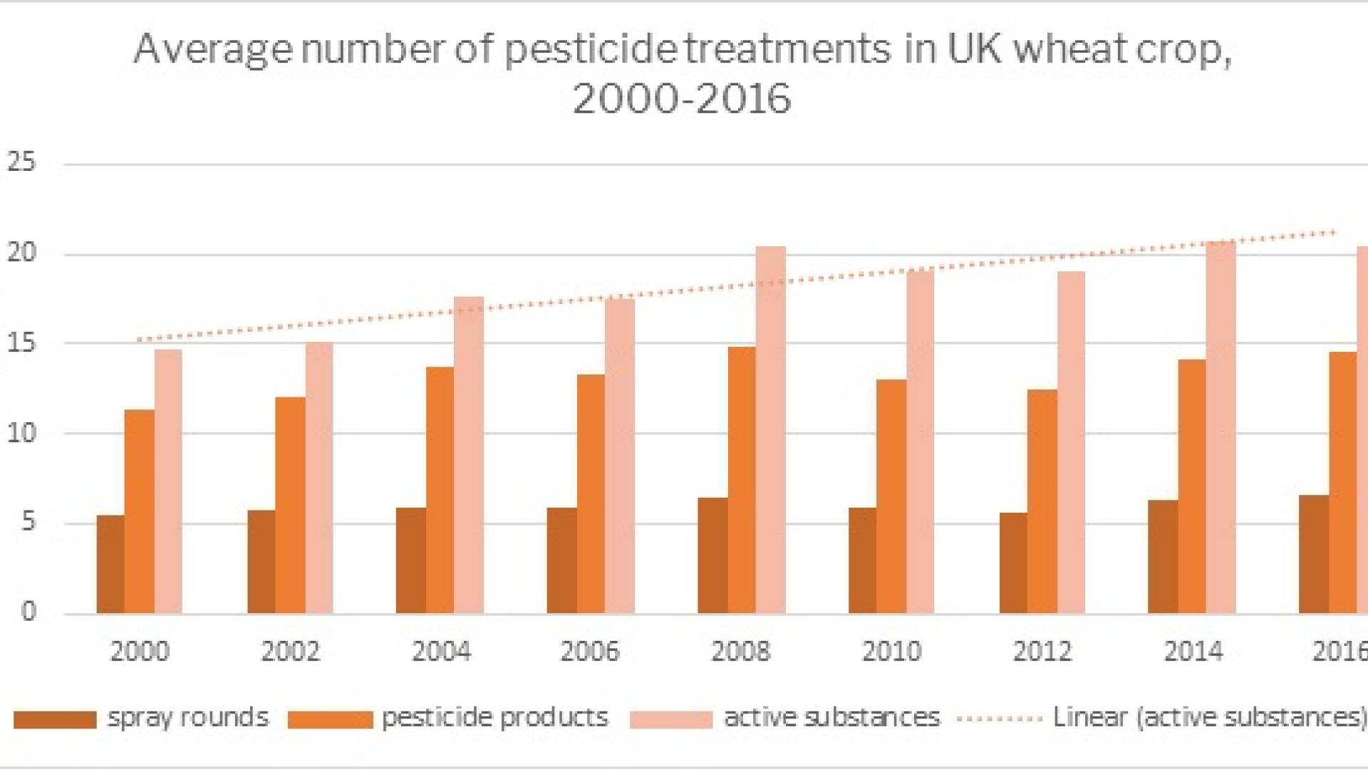 Using These Spiders For Pest Control Can Reduce Insecticide Use: U.K. Study