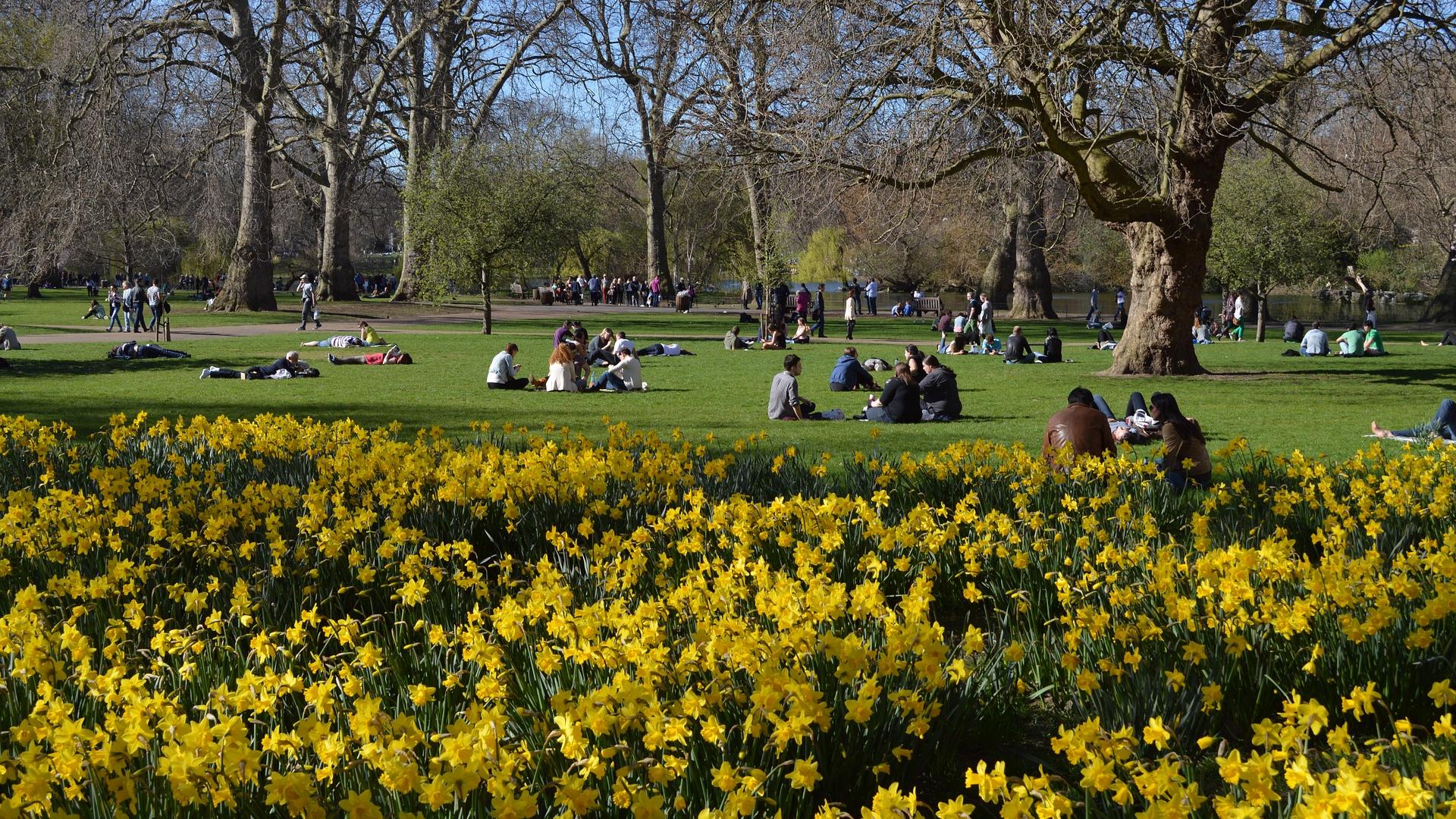 People sitting on grass in open space, St James's Park, London