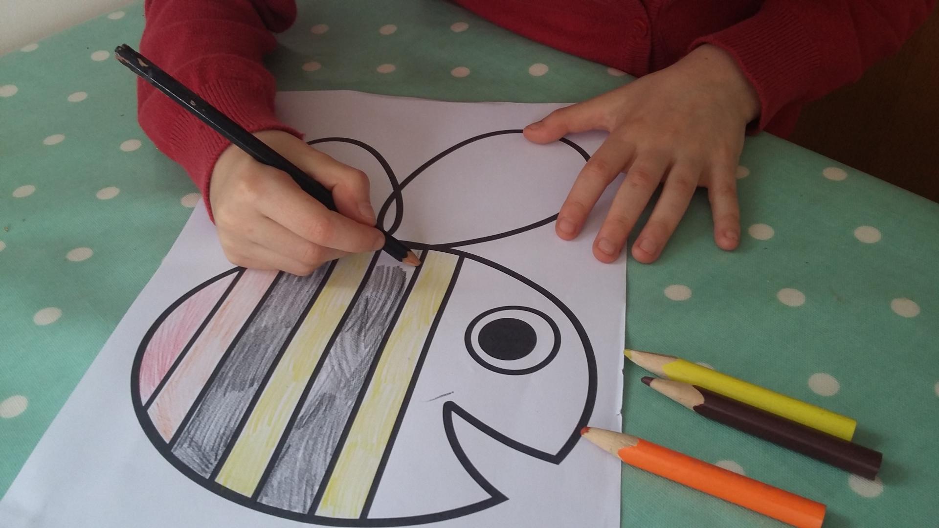Colouring in The Bee Cause bee logo 