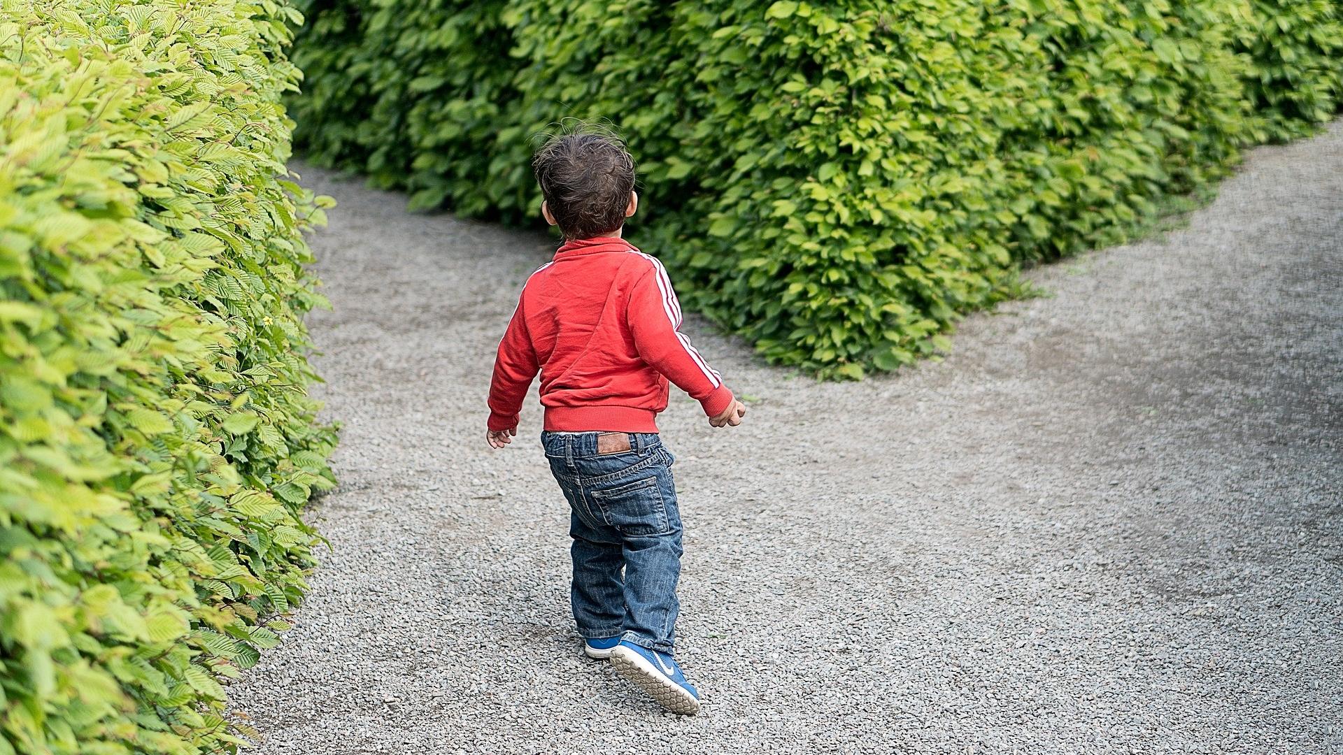 Child standing at crossroads in maze about to take a path