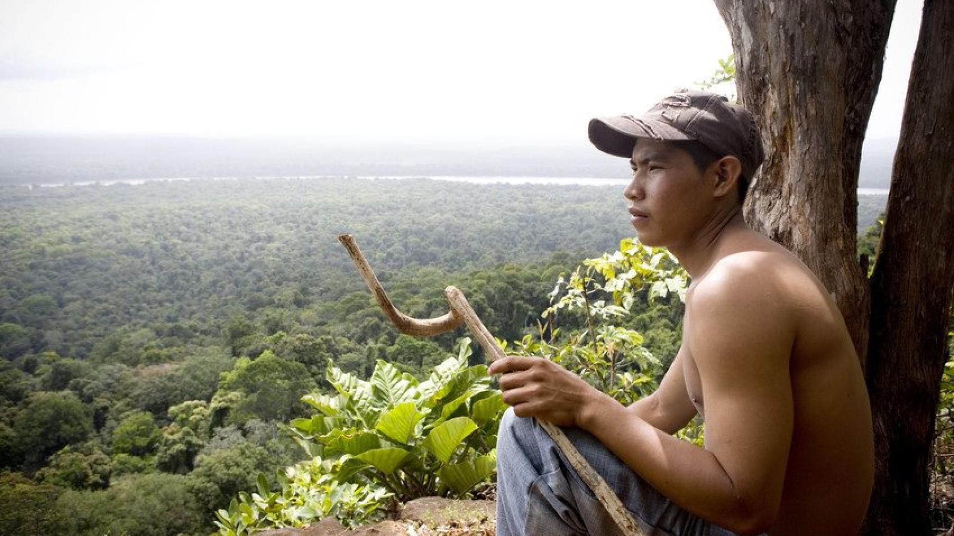 Jerry Benjamin, a local Makushi and guide at Turtle Mountain, in the Iwokrama Forest.