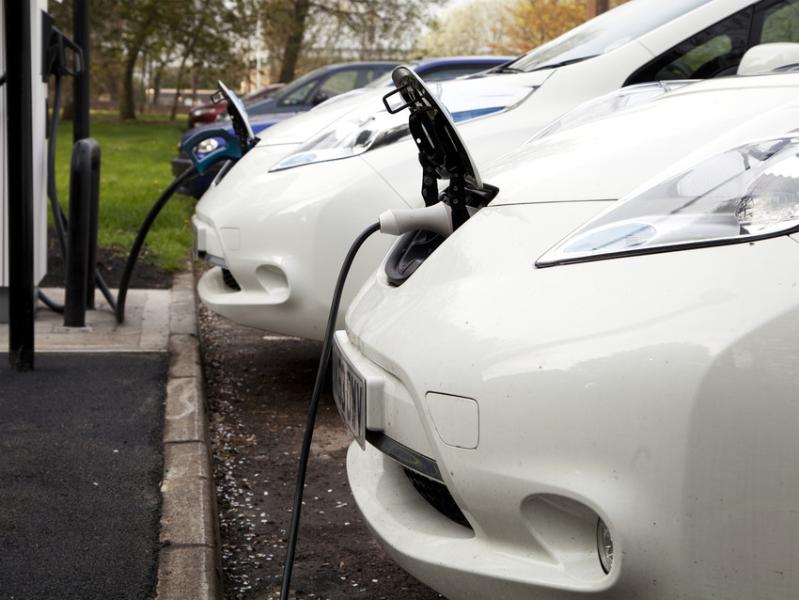A row of electric cars plugged in to chargers