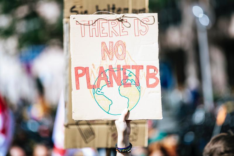 There is no Planet B placard at climate demo