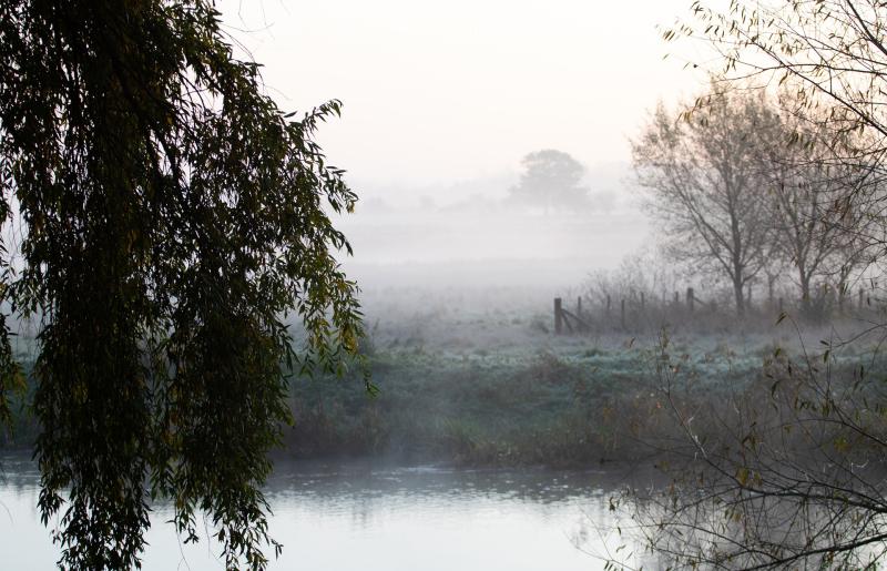 Misty view of river bank