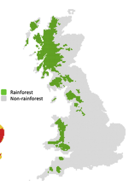 Temperate rainforest map