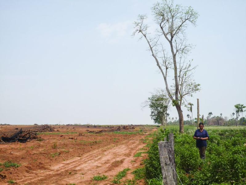 Villager standing on community land next to deforested area in Jejui Poty settlement, Paraguay. The Brazilian land owner has cleared the land most probably for soy cultivation. 
