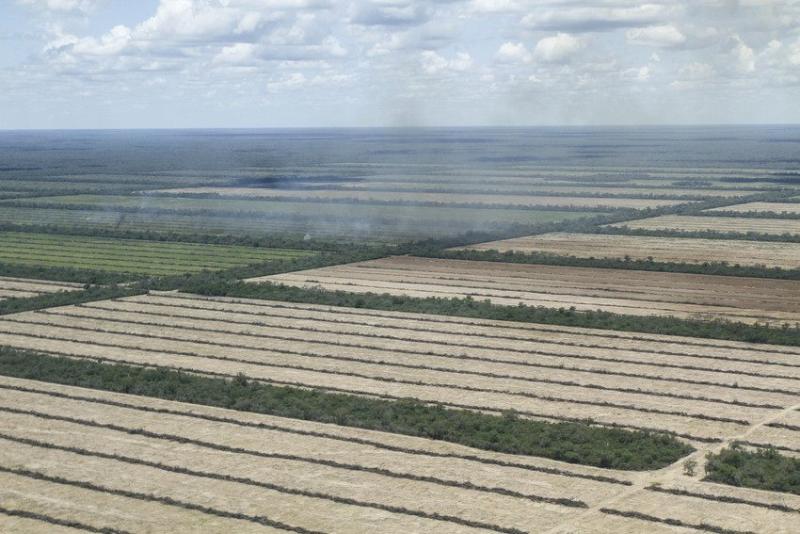 Aerial shot of deforested land near Mariscal Estagarribia, Boqueron, part of the dry Chaco, Paraguay, showing uniform fields of soy,