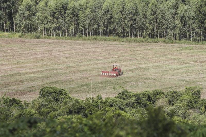 Seeds being sown by a tractor in a field in Pirapey, Paraguay, with forest in the fore- and background
