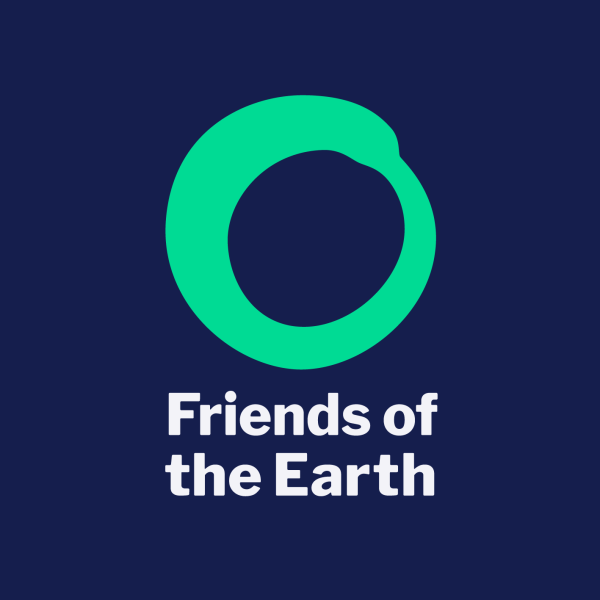 Friends Of The Earth Policy And Insight