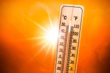 Thermometer displays 40 degrees C during heatwave