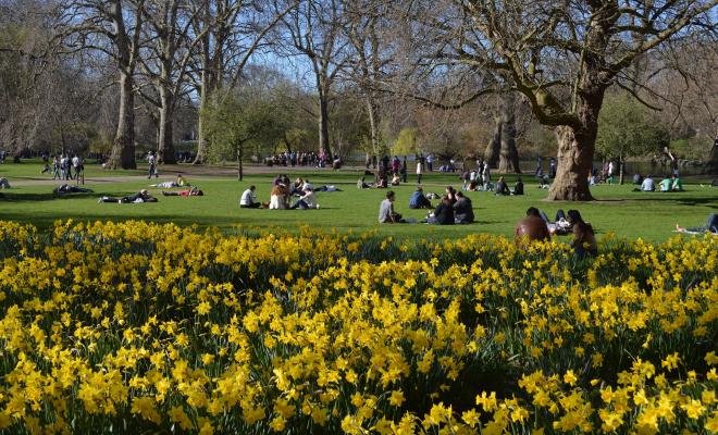 People sitting on grass in open space in St James's Park, London