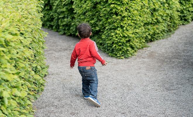 Child standing at crossroads in maze about to take a path