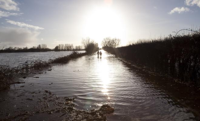 Flooded fields, hedgerow to RHS