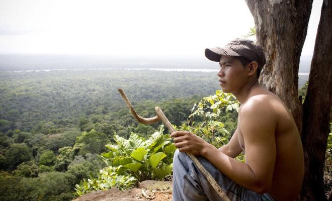Jerry Benjamin, a local Makushi and guide at Turtle Mountain, in the Iwokrama Forest.