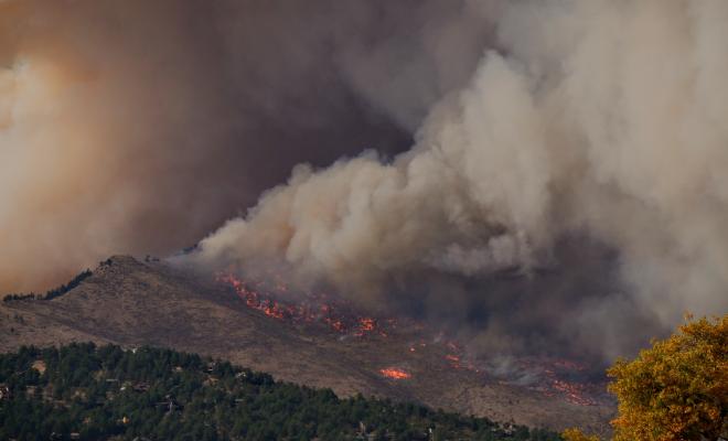 Wildfire and billowing smoke on a hillside with trees
